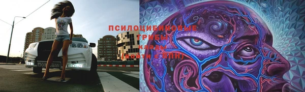 хмурый Алексин