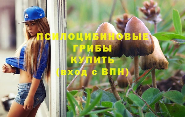 хмурый Алексин