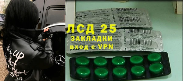 хмурый Алексин