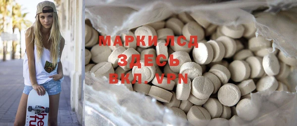 хмурый Алексин
