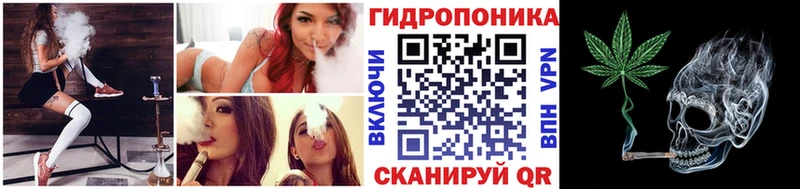 Каннабис планчик  Лосино-Петровский 